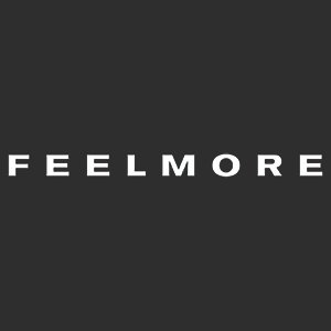 Feelmore Adult Store